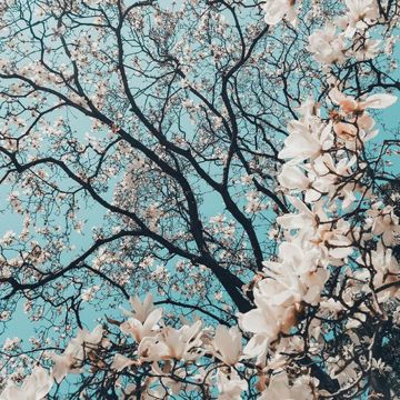 spring (prod. tyson.to x 1jahvi)-cover