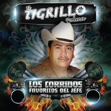Tu Nuevo Carinito-cover