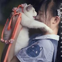 摸摸它-cover