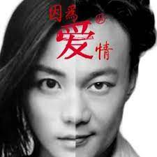 因为爱情-cover