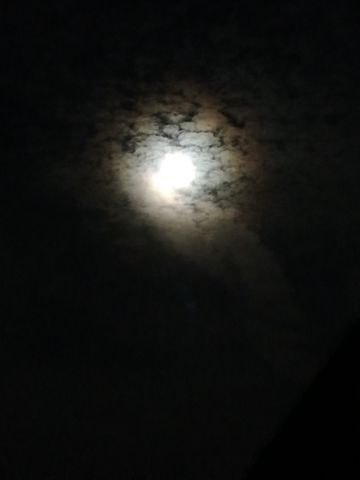 coveImg