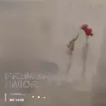 coveImg