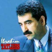 Yalnızım dostlarım-cover