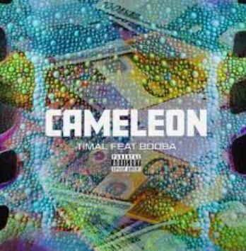 Caméléon (feat. Booba)-cover