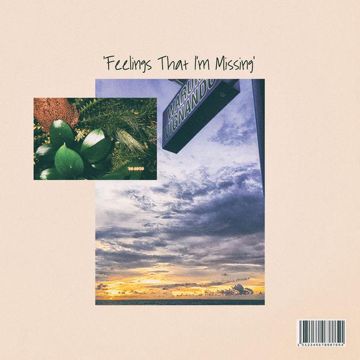 Feelings That I'm Missing-cover