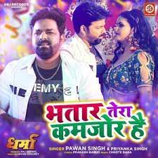 Bhatar Tera Kamjor Hai-cover