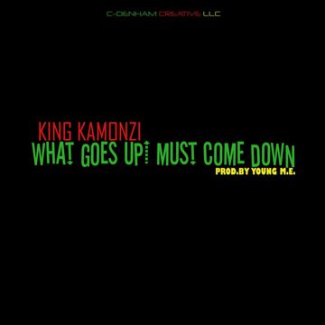 What Goes Up Must Come Down-cover