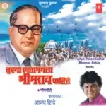 Bhimrayamule Aamha Buddh Milale-cover