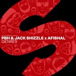 afishalpbhpbhjack-shizzle-genres-cover-image
