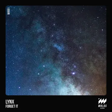 Forget It (Radio Edit)-cover