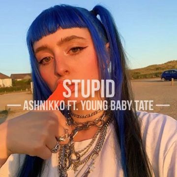 Stupid Boy-cover