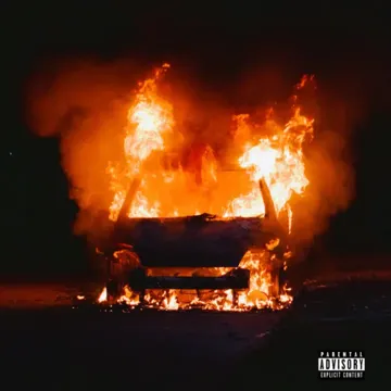 Backseat Baby-cover