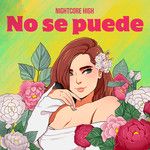 No Se Puede(Acoustic)-cover