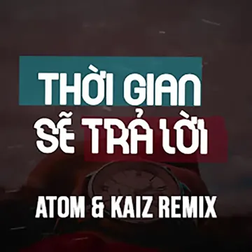 Thời Gian Sẽ Trả Lời (Remix)-cover