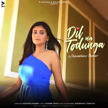 Dil Na Todunga-cover