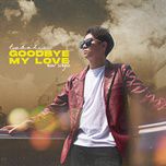 Goodbye My Love-cover