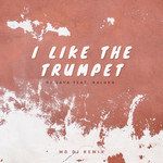 I Like The Trumpet(feat. Raluka)(MD DJ Remix)-cover