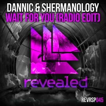 Wait For You(Jewelz & Sparks Remix)-cover