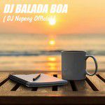 Dj Balada Boa-cover