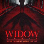 Widow Remix (feat. NSW Yoon, heroincity, CIKA, Hollow Young)-cover