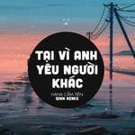Tại Vì Anh Yêu Người Khác(Qinn Remix)(Remix)-cover