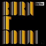 Burn It Down(Extended Mix)-cover