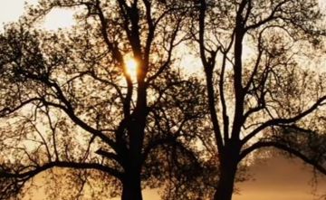 BUTA SA PAGPAKABANA GENREXELLE