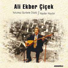 El Vurup Yaremi İncitme Tabip-cover