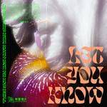 Let You Know-cover