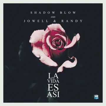 La Vida Es Asi (Remix)-cover