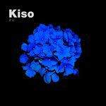 2U(Kiso Remix)