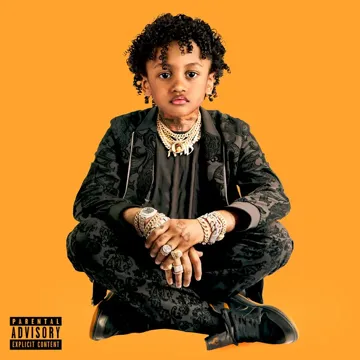 Snitch-cover