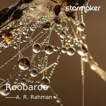 Roobaroo-cover