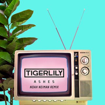 Ashes-cover