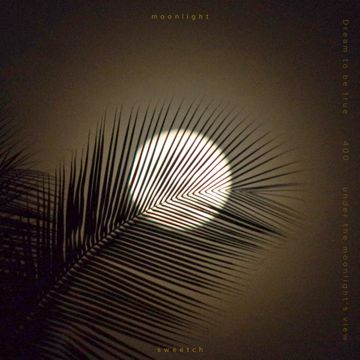 m o o n l i g h t-cover