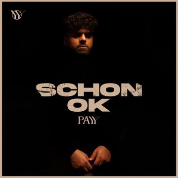 Schon ok-cover