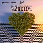 Wasted Love-cover