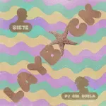 Layback-cover