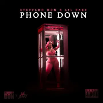 Phone Down-cover