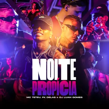 Noite Propícia-cover
