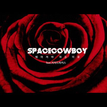 결벽증-cover