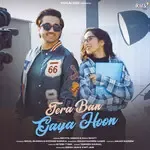 Tera Ban Gaya Hoon-cover