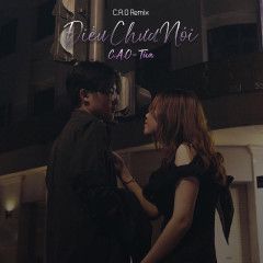 Điều Chưa Nói (C.A.O Remix)(Remix)-cover