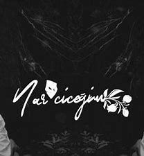 coveImg