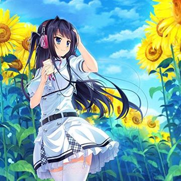 夏の色が消えるとき-cover