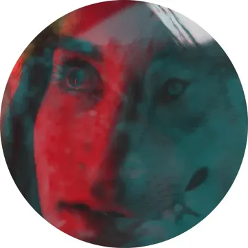 Lupi-cover