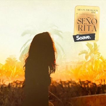 Señorita-cover