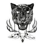 Beastmode-cover