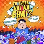 Tu Theek Hai Na Bhai?-cover