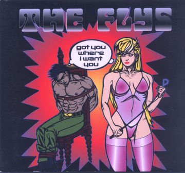 FLY-cover